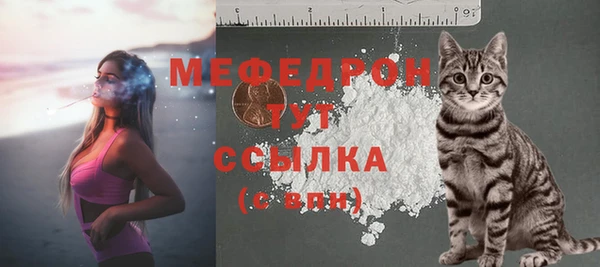 стаф Балахна