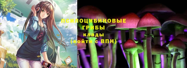 ПСИЛОЦИБИНОВЫЕ ГРИБЫ Баксан