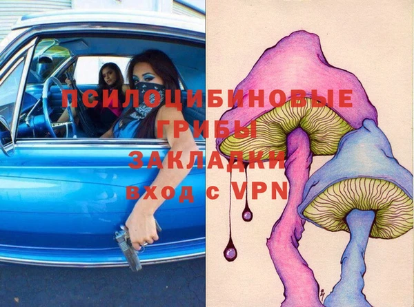 ПСИЛОЦИБИНОВЫЕ ГРИБЫ Баксан