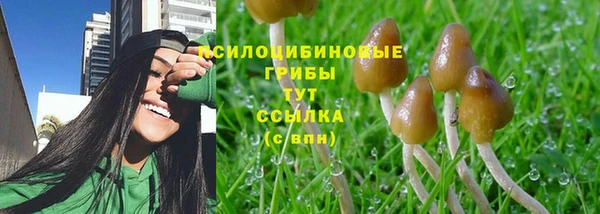 ПСИЛОЦИБИНОВЫЕ ГРИБЫ Баксан