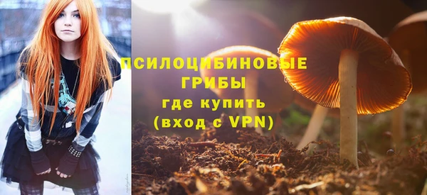 ПСИЛОЦИБИНОВЫЕ ГРИБЫ Баксан